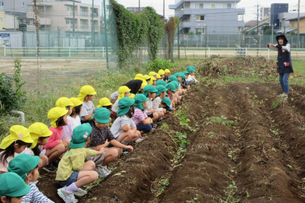 大捜索のお芋掘り🍠