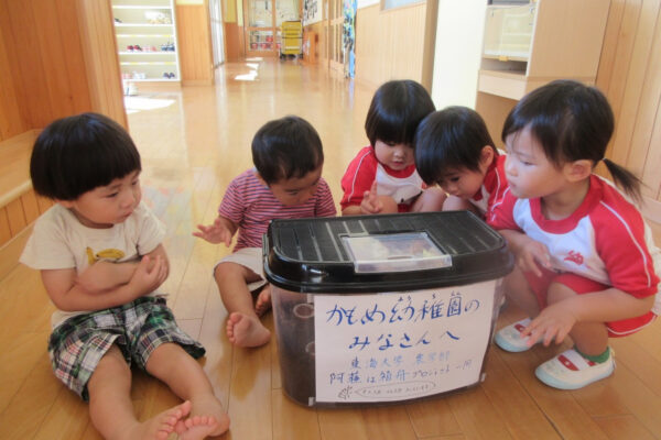 農学部からカブトムシがやってきた！