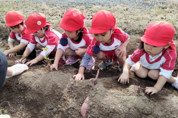 お芋掘りランララン🎵