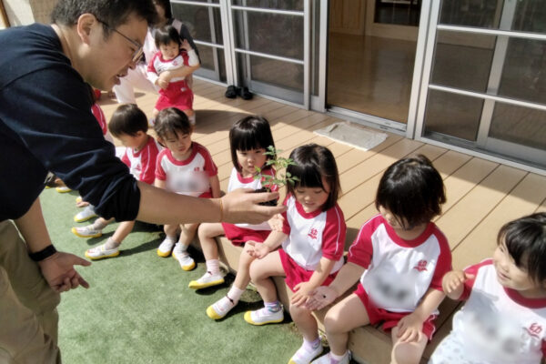 野菜の苗を植えました🍅